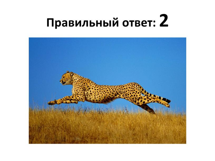 Правильный ответ: 2