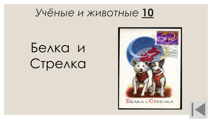 Учёные и животные 10 Белка и