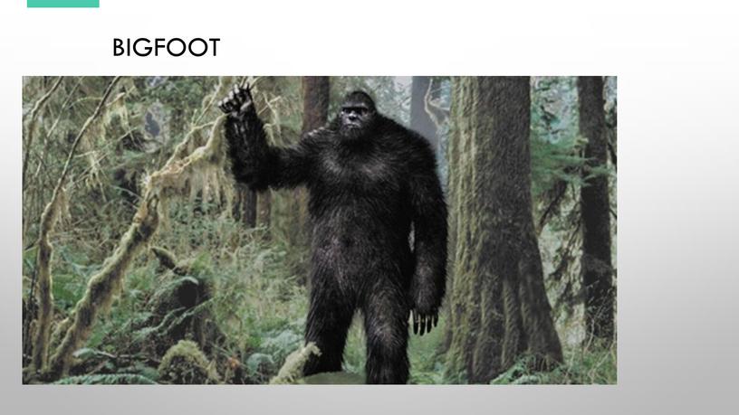 Bigfoot