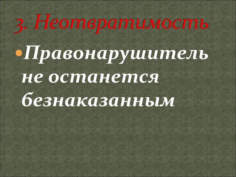 Правонарушитель не останется безнаказанным 3