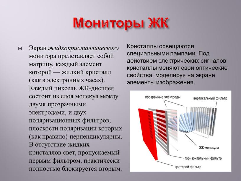 Мониторы ЖК Экран жидкокристаллического монитора представляет собой матрицу, каждый элемент которой — жидкий кристалл (как в электронных часах)