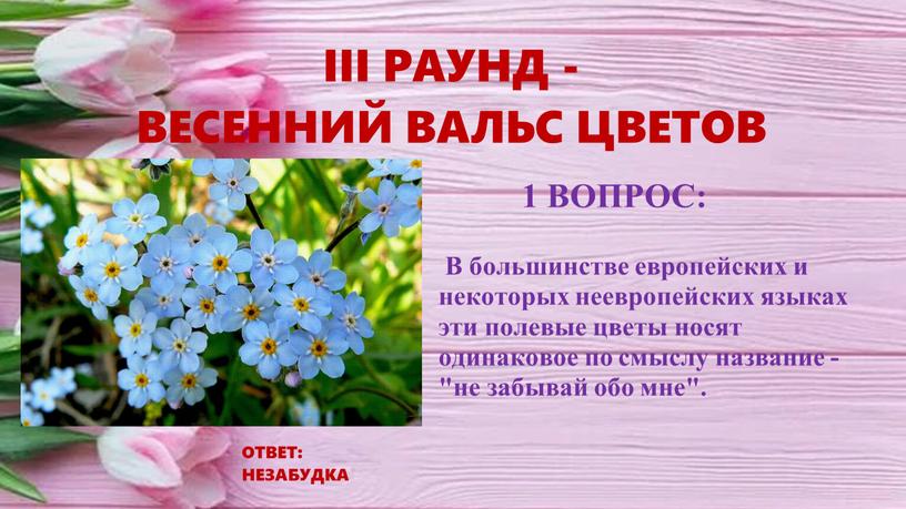 III РАУНД - ВЕСЕННИЙ ВАЛЬС ЦВЕТОВ