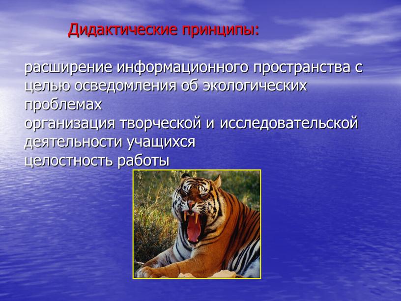 Дидактические принципы: расширение информационного пространства с целью осведомления об экологических проблемах организация творческой и исследовательской деятельности учащихся целостность работы