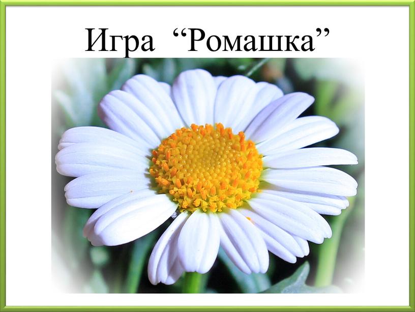 Игра “Ромашка”