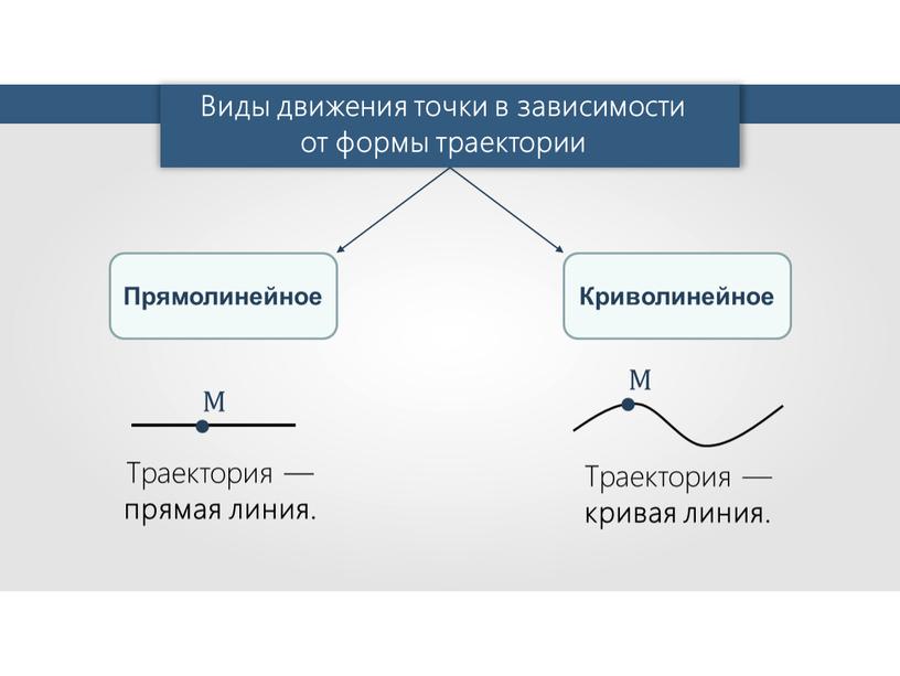 Виды движения точки в зависимости от формы траектории