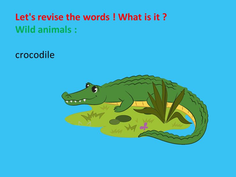 Let's revise the words ! What is it ?