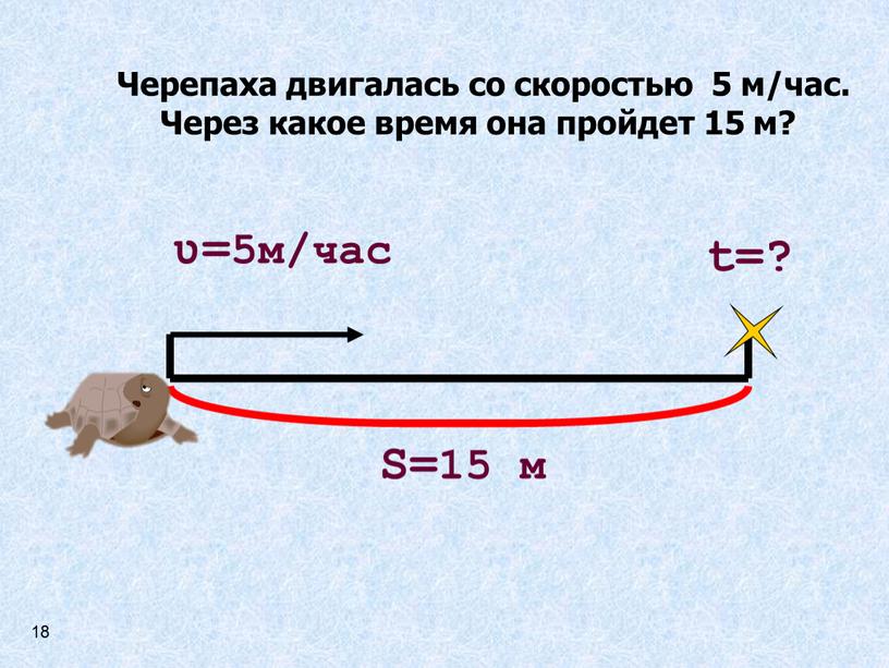 Черепаха двигалась со скоростью 5 м/час