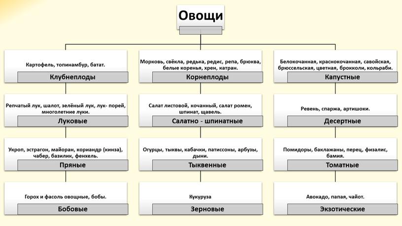 "Овощи"