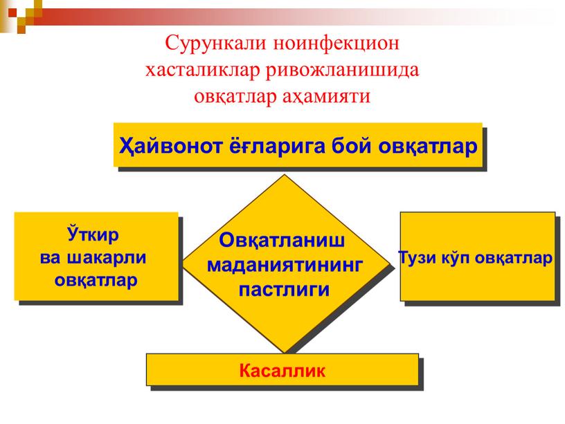 Сурункали ноинфекцион хасталиклар ривожланишида овқатлар аҳамияти