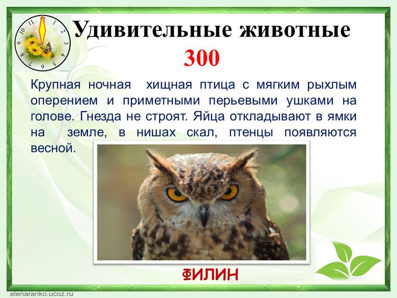 Какая нить в природе самая тонкая. Смотреть фото Какая нить в природе самая тонкая. Смотреть картинку Какая нить в природе самая тонкая. Картинка про Какая нить в природе самая тонкая. Фото Какая нить в природе самая тонкая