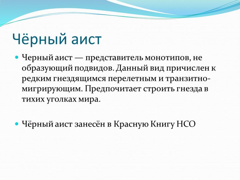 Чёрный аист Черный аист — представитель монотипов, не образующий подвидов