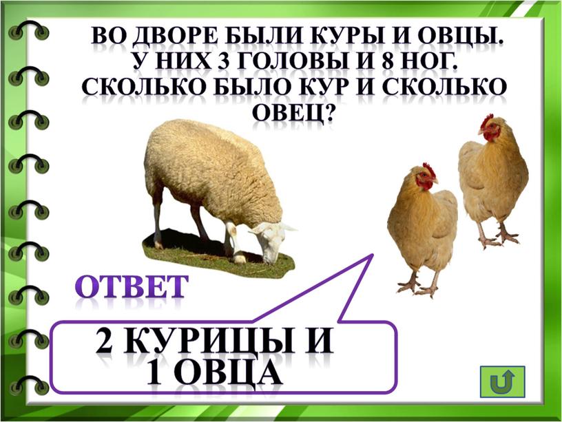 Во дворе были куры и овцы. У них 3 головы и 8 ног