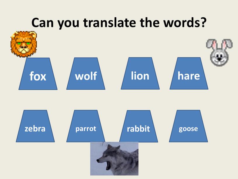 Can you translate the words? fox wolf lion hare parrot zebra rabbit goose