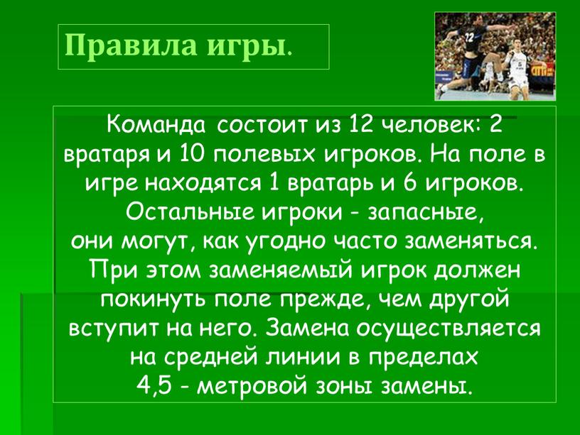 Правила игры. Команда состоит из 12 человек: 2 вратаря и 10 полевых игроков