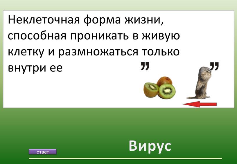 Вирус Неклеточная форма жизни, способная проникать в живую клетку и размножаться только внутри ее