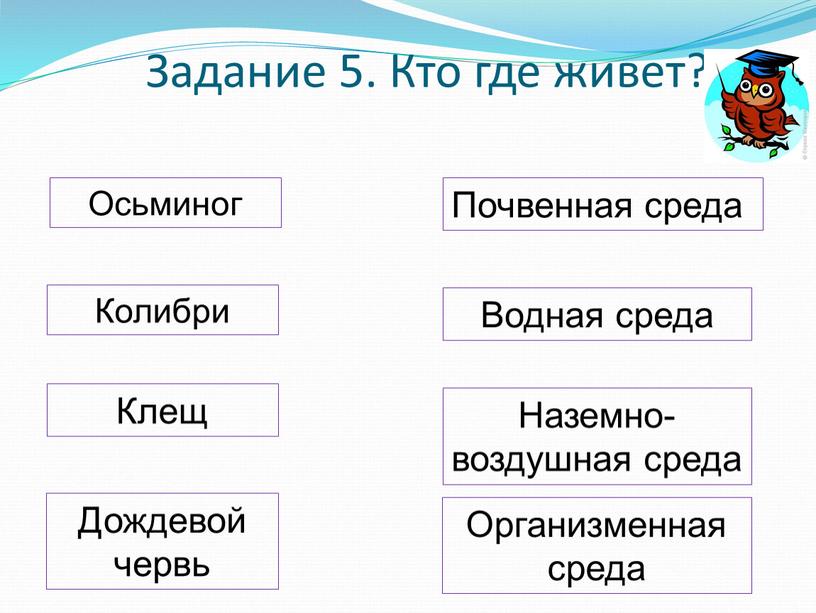 Задание 5. Кто где живет? Осьминог