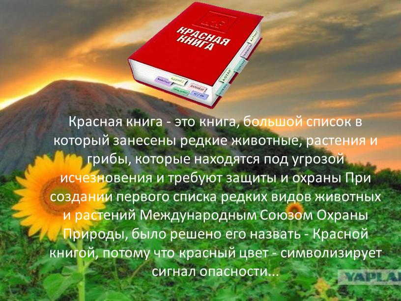 Путешествие по станицам Красной книги Донбасса