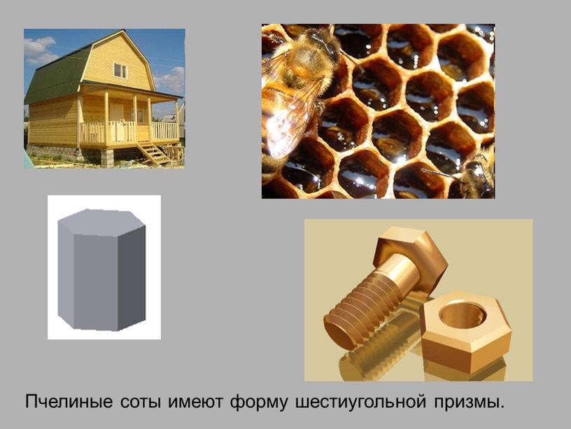 Пчелиные соты имеют форму шестиугольной призмы