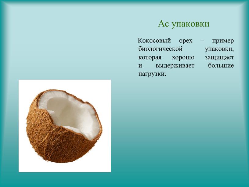 Ас упаковки Кокосовый орех – пример биологической упаковки, которая хорошо защищает и выдерживает большие нагрузки