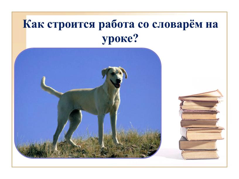 Как строится работа со словарём на уроке?