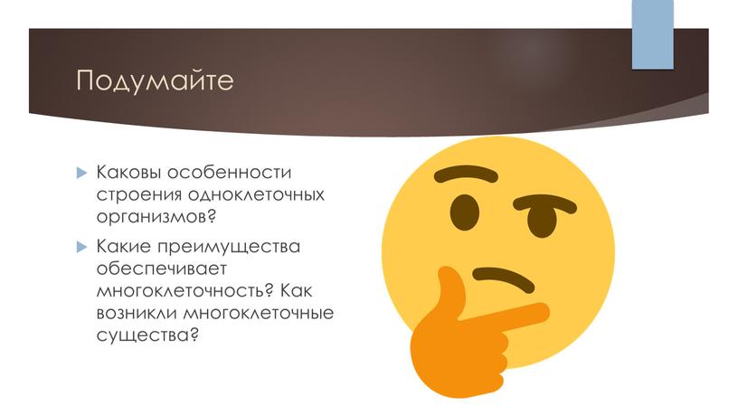 Подумайте Каковы особенности строения одноклеточных организмов?