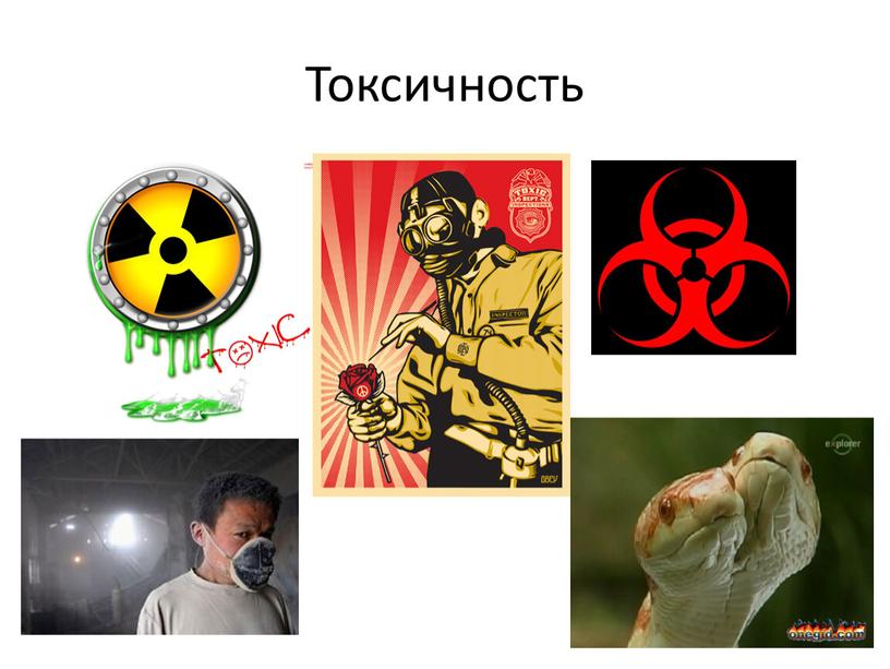 Токсичность