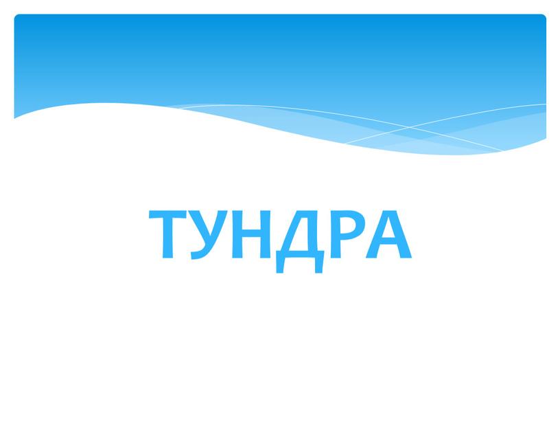 ТУНДРА