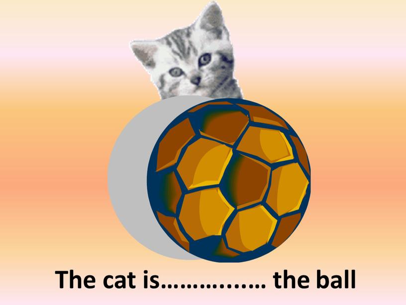 behind The cat is………....… the ball