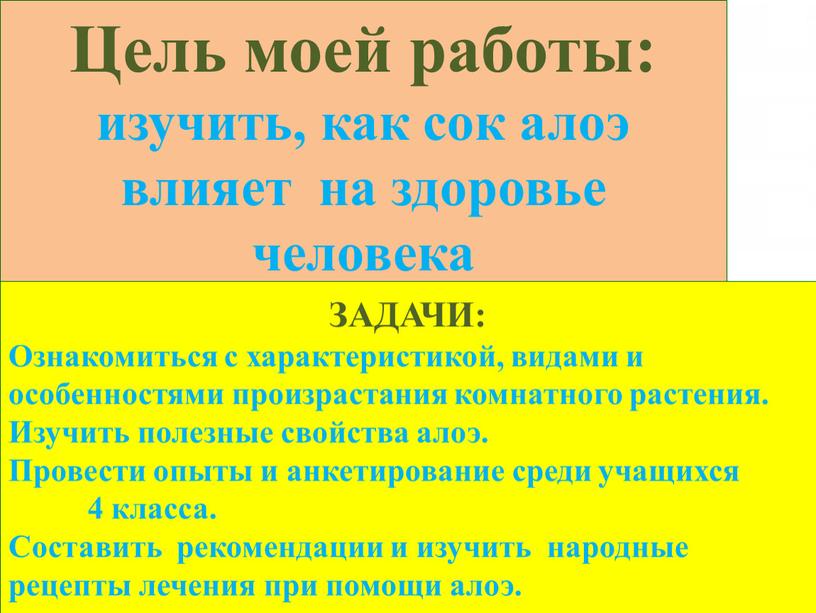 Цель моей работы: изучить, как сок алоэ влияет на здоровье человека