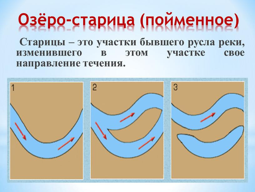 Озёро-старица (пойменное) Старицы – это участки бывшего русла реки, изменившего в этом участке свое направление течения