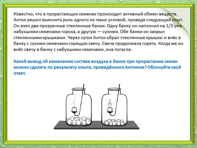 Известно, что в прорастающих семенах происходит активный обмен веществ