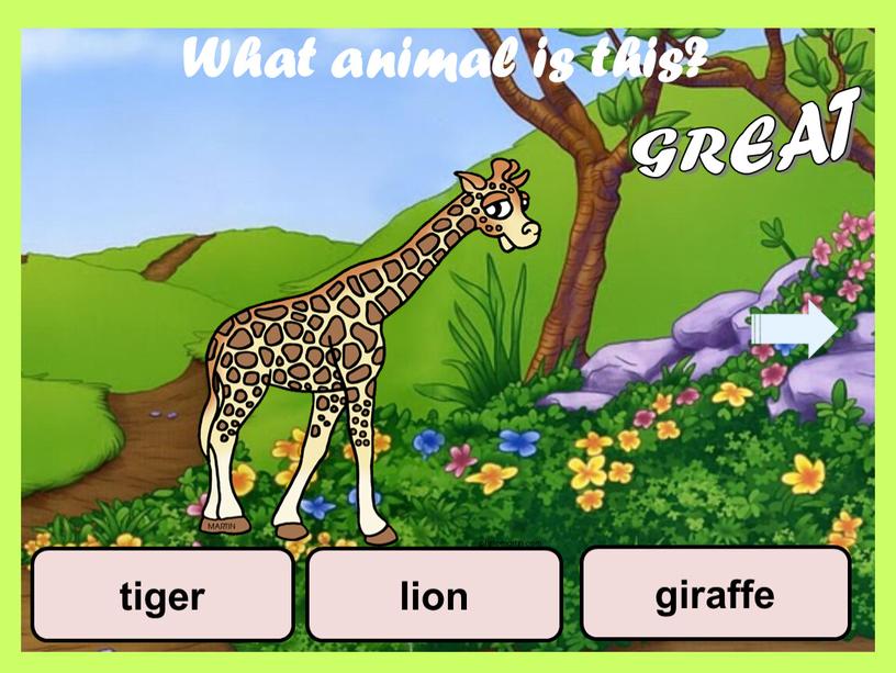 What animal is this? lion giraffe tiger