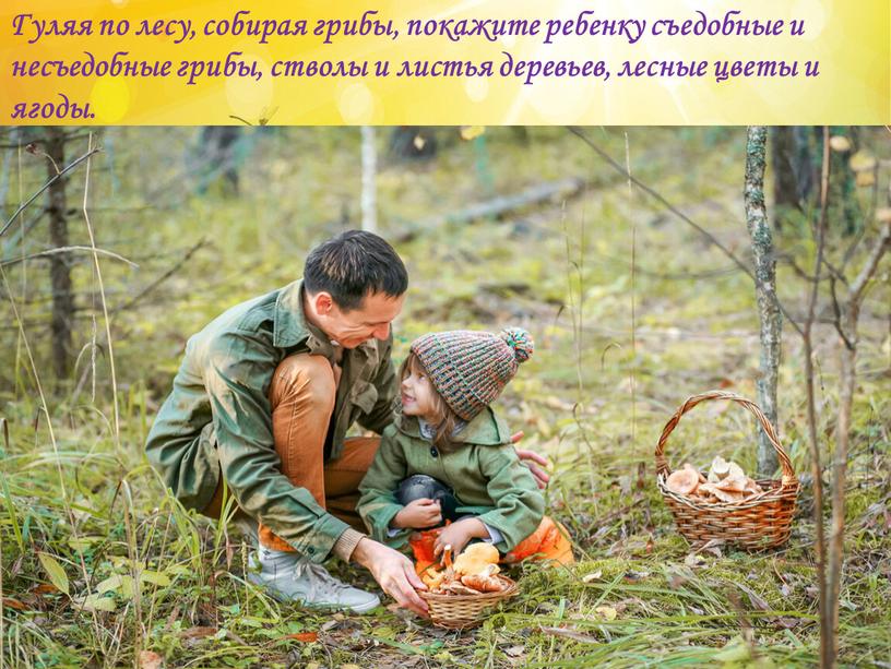 Гуляя по лесу, собирая грибы, покажите ребенку съедобные и несъедобные грибы, стволы и листья деревьев, лесные цветы и ягоды