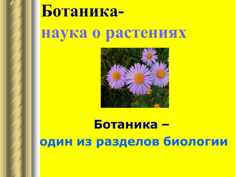 Ботаника- наука о растениях Ботаника – один из разделов биологии