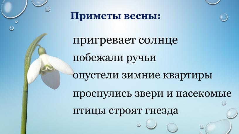 Приметы весны: пригревает солнце побежали ручьи опустели зимние квартиры проснулись звери и насекомые птицы строят гнезда