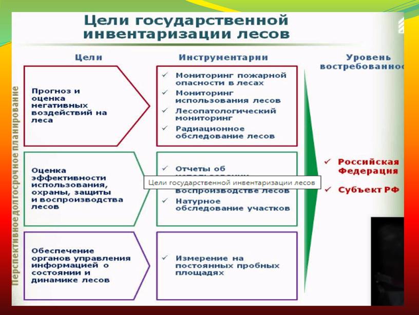 Организация государственного управления лесным хозяйством РФ.