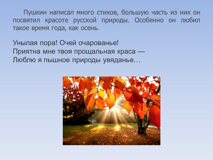 Пушкин написал много стихов, большую часть из них он посвятил красоте русской природы