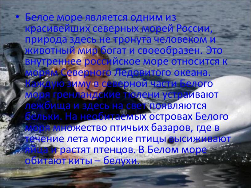 Белое море является одним из красивейших северных морей