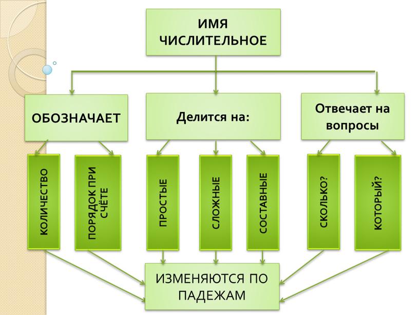 ИМЯ ЧИСЛИТЕЛЬНОЕ Делится на: