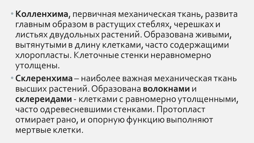 Колленхима , первичная механическая ткань, развита главным образом в растущих стеблях, черешках и листьях двудольных растений