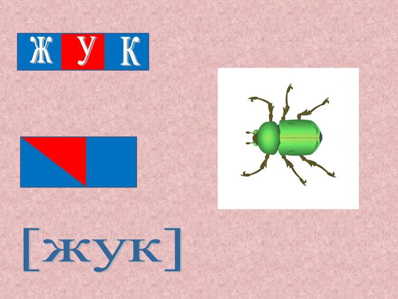 ж у к [жук]