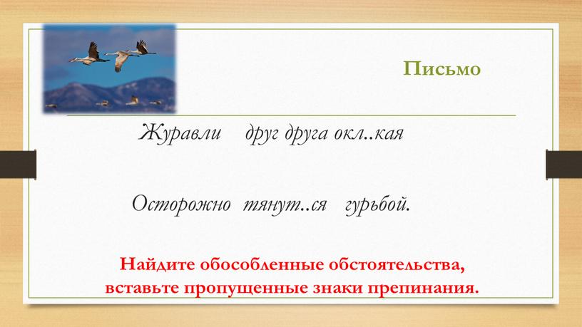 Найдите обособленные обстоятельства, вставьте пропущенные знаки препинания