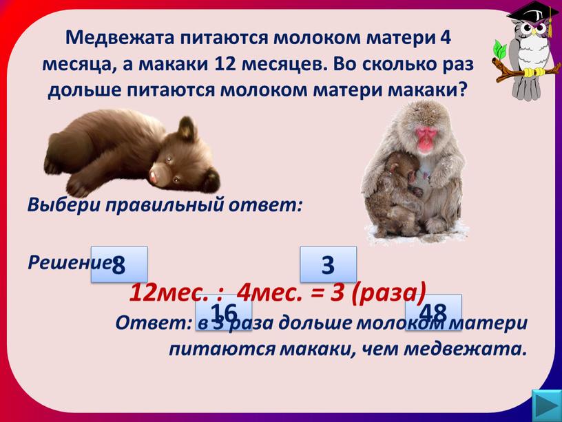 Медвежата питаются молоком матери 4 месяца, а макаки 12 месяцев