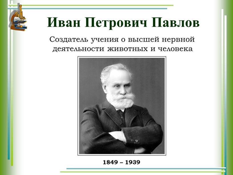 Иван Петрович Павлов Создатель учения о высшей нервной деятельности животных и человека 1849 – 1939