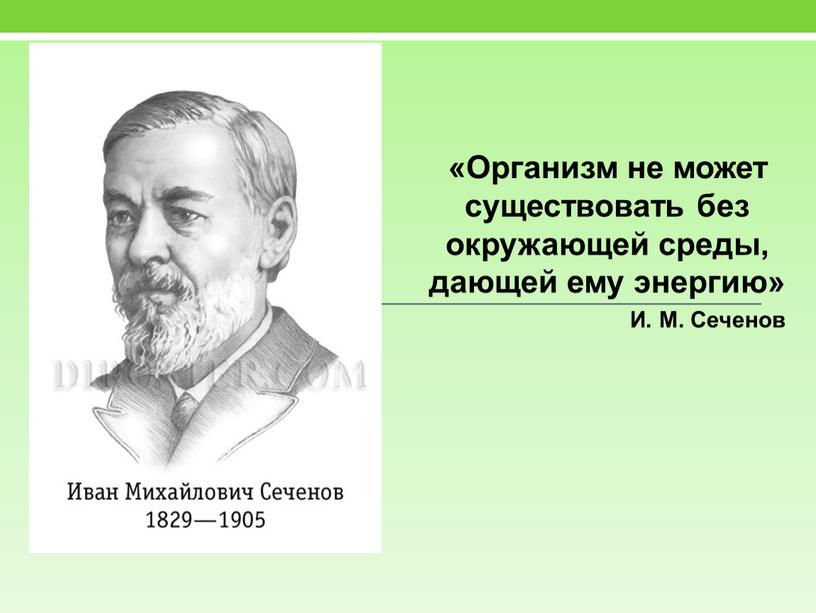 Организм не может существовать без окружающей среды, дающей ему энергию»