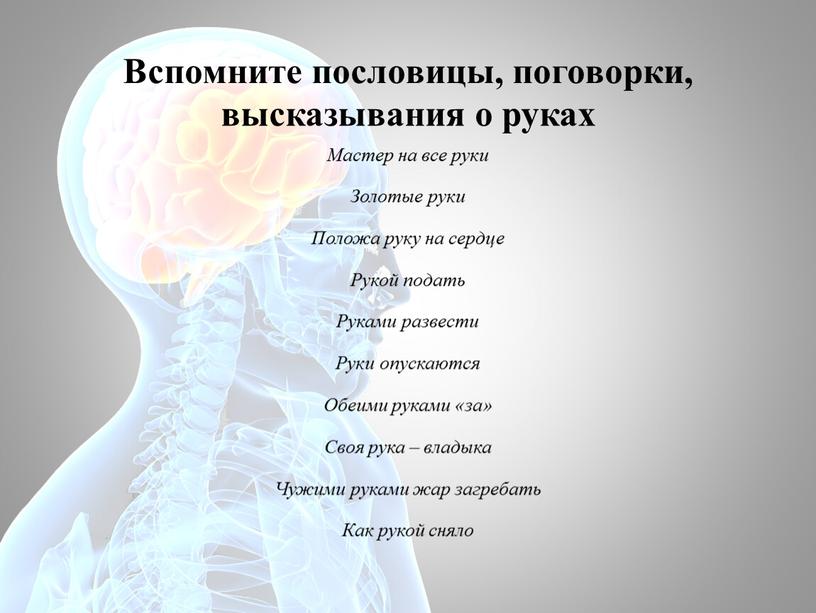 Вспомните пословицы, поговорки, высказывания о руках