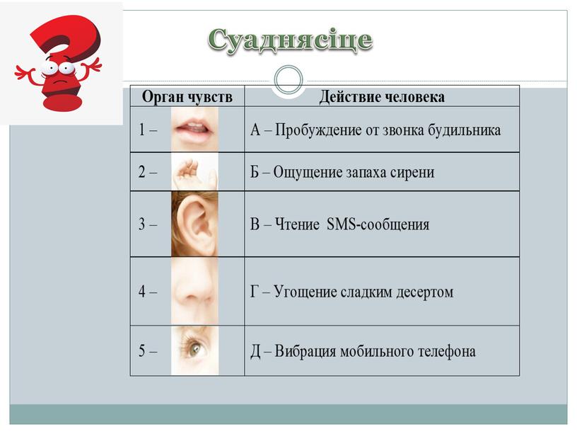 Суаднясіце