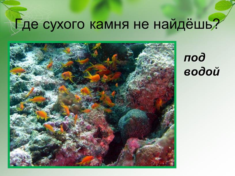 Где сухого камня не найдёшь? под водой