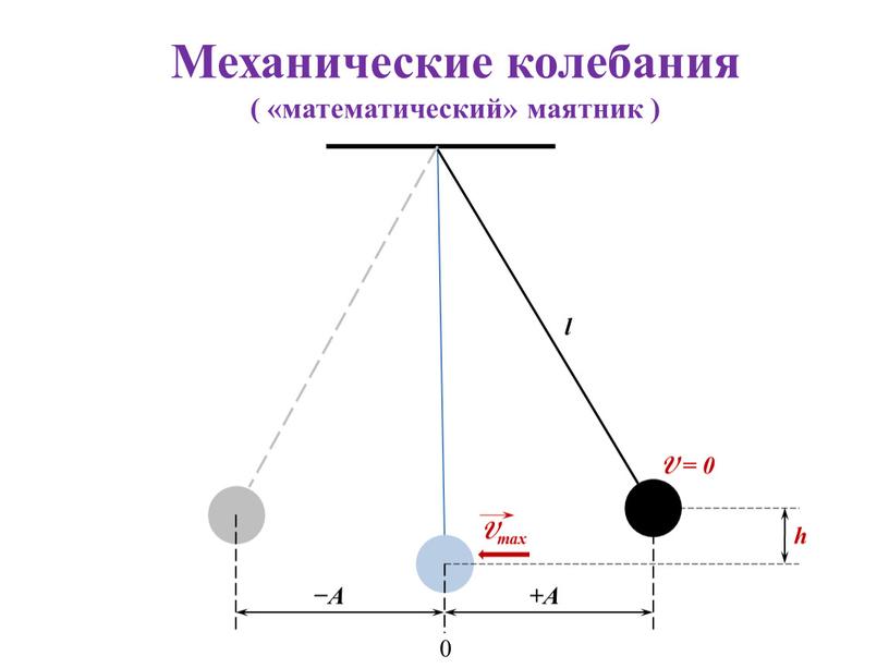 Механические колебания ( «математический» маятник )