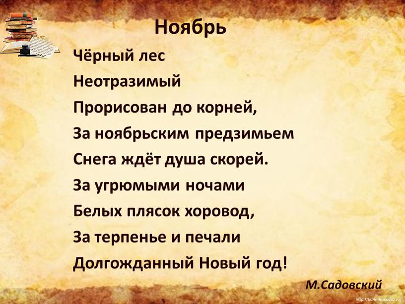 Ноябрь Чёрный лес Неотразимый